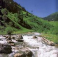/album/resim-galerisi/karakusyasin-rize5cdere-01-jpg/
